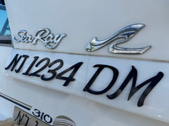 Custom Sea Ray Style 3D Emblem Style Matched Registration Numbers and Badges 1/8